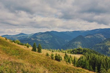 dağlık manzara ormanlık tepeleri ile. bulutlu bir günde güzel yaz sahne