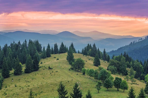 Colorful Summer Sunset Carpathian Mountains — Stock Photo, Image