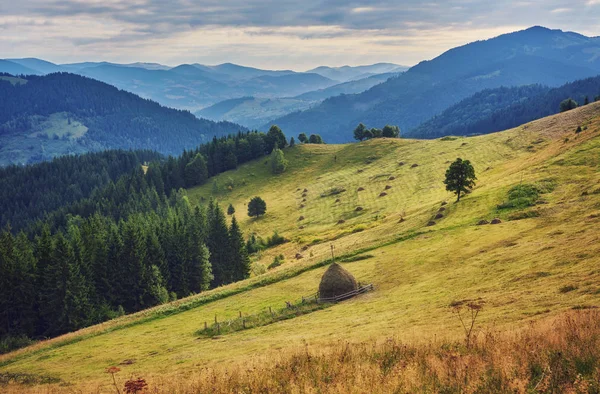 Bergige Landschaft Mit Bewaldeten Hügeln Schöne Sommerkulisse Einem Bewölkten Tag — Stockfoto