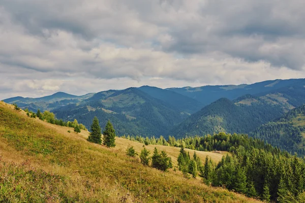 dağlık manzara ormanlık tepeleri ile. bulutlu bir günde güzel yaz sahne