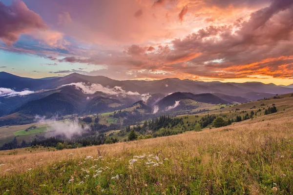 山の中の美しい夏の風景です 日の出 — ストック写真