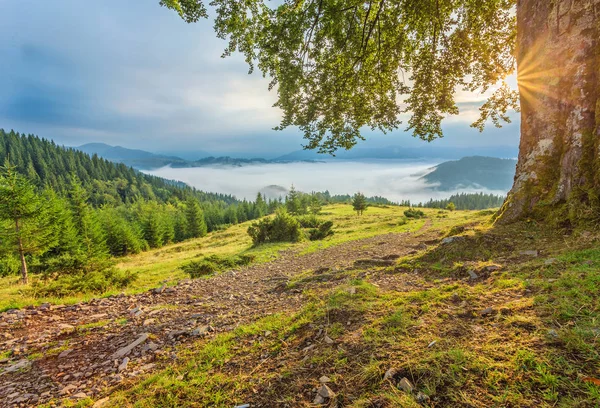 Renkli Yaz Günbatımı Karpat Dağları Nda — Stok fotoğraf