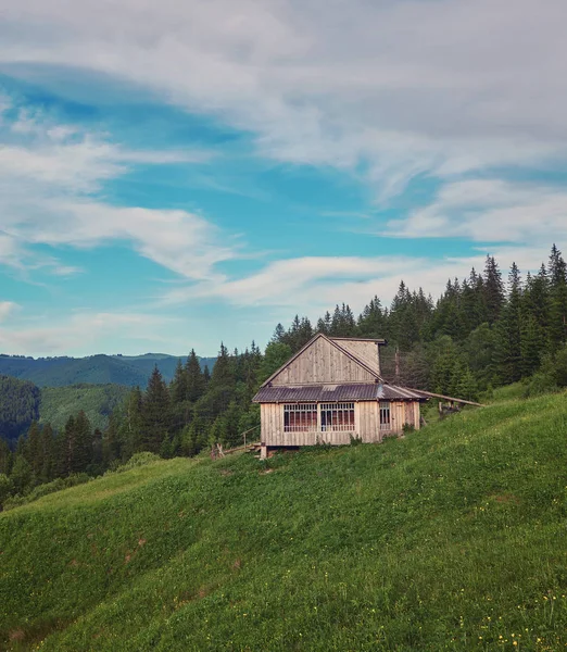 Une Maison Bois Sur Une Prairie Verdoyante Montagne Une Maison — Photo