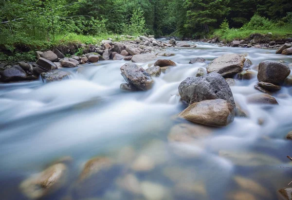 Fiume Immerso Nella Foresta Montana Composizione Della Natura — Foto Stock