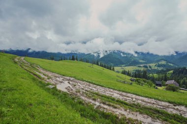 bulutlu bir günde ormanlık haddeleme tepede. Dağlık kırsal güzel doğa toplayan. erken sonbaharda güzel hava