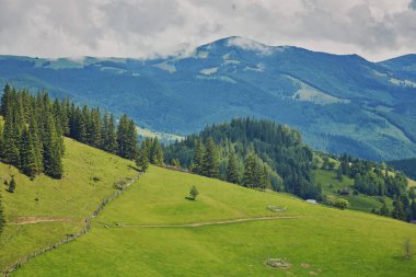 dağlık manzara ormanlık tepeleri ile. bulutlu bir günde güzel yaz sahne