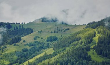 bulutlu bir günde ormanlık haddeleme tepede. Dağlık kırsal güzel doğa toplayan. erken sonbaharda güzel hava