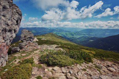 Renkli yaz günbatımı Karpat Dağları'nda