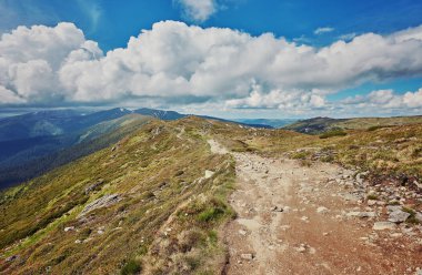 Bileşik manzara. çit yakınındaki dağlarda hillside çayır çapraz yolda. kaç çam ağaçları orman yolun iki yanında