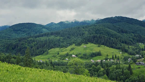 Bulutlu Bir Günde Ormanlık Haddeleme Tepede Dağlık Kırsal Güzel Doğa — Stok fotoğraf