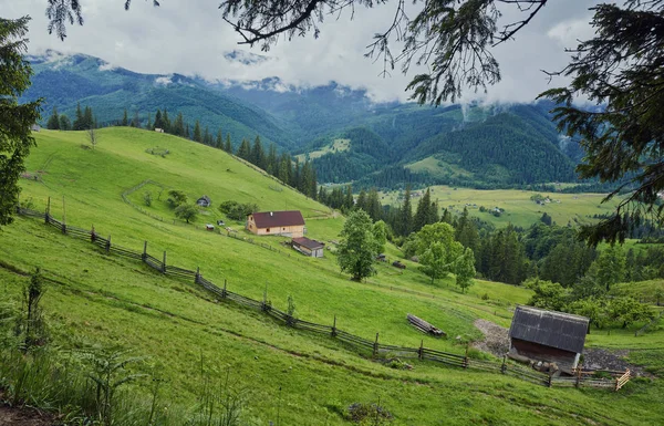 Dřevěný Dům Zelené Louce Horách Dům Nedaleko Starého Lesa Životní — Stock fotografie