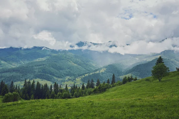 Bergige Landschaft Mit Bewaldeten Hügeln Schöne Sommerkulisse Einem Bewölkten Tag — Stockfoto