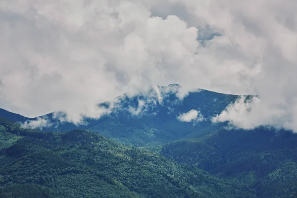 Paisagem Montanhosa Com Colinas Arborizadas Belo Cenário Verão Dia Nublado — Fotografia de Stock