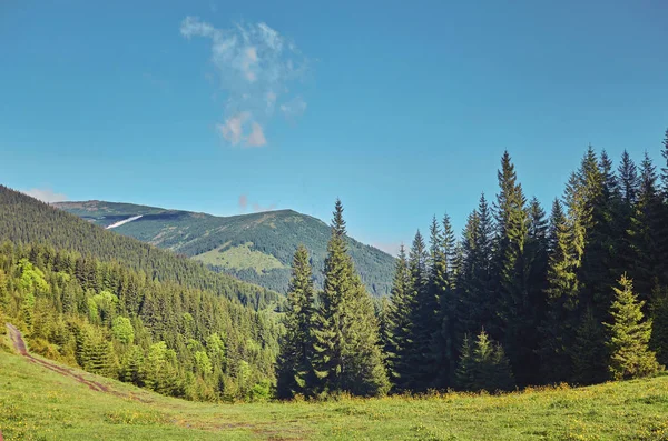 Paysage Estival Montagne Ciel Bleu Foncé Avec Nuages — Photo