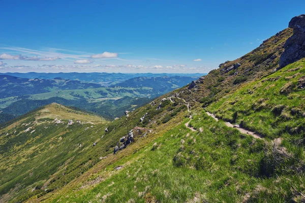 複合風景 山の中腹草原の交差道路の近くのフェンス 道路の両側の森のいくつかのモミの木 — ストック写真