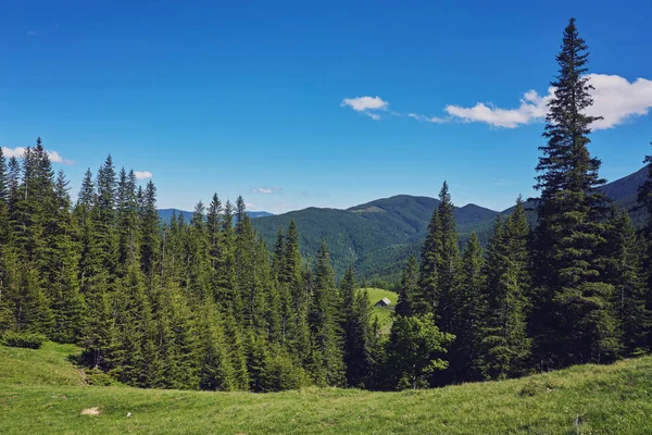 Paysage Estival Montagne Ciel Bleu Foncé Avec Nuages — Photo