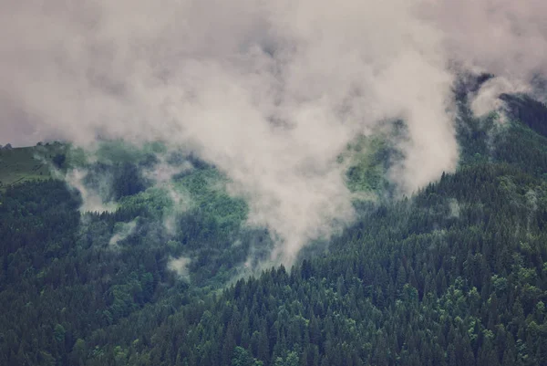 Naturaleza Panorama Bosque Verde Montaña Niebla Nube Viajes Turismo Ambiente —  Fotos de Stock