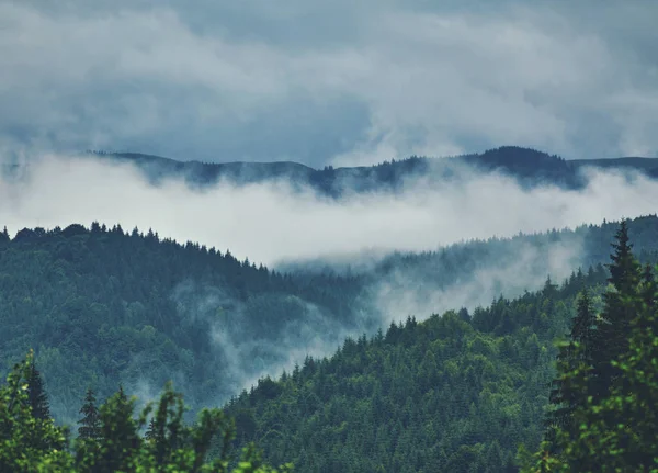Nature Panorama Vert Forêt Montagne Brouillard Nuage Voyage Tourisme Environnement — Photo