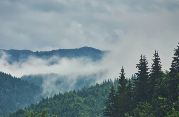Rain Clouds Mountain Top Natural Landscape — Stock Photo, Image