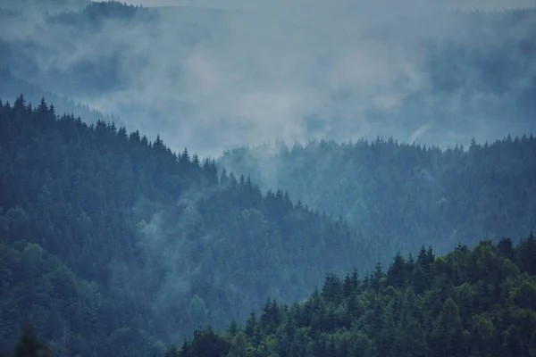 Nature Panorama Green Forest Mountain Fog Cloud Travel Tourism Environment — Stock Photo, Image