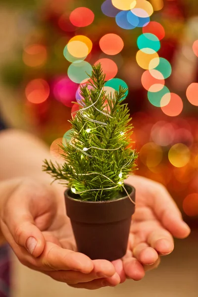 Yılbaşı ışıklarının arka planındaki bir kızın ellerinde parlak bir çelenkle küçük bir Noel ağacı. Yeni yıl kavramı. — Stok fotoğraf