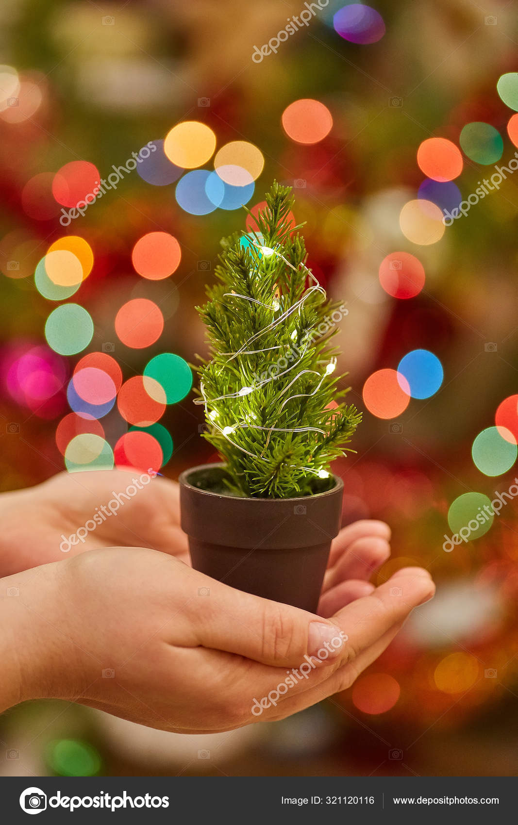 little christmas tree with lights