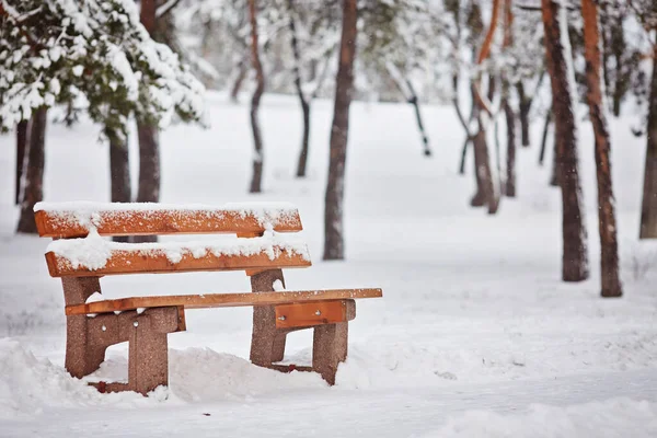 公园里被雪覆盖的长椅 — 图库照片