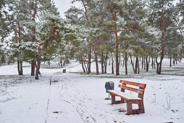 Скамейки Зимнем Городском Парке Наполненный Снегом Заснеженные Деревья — стоковое фото