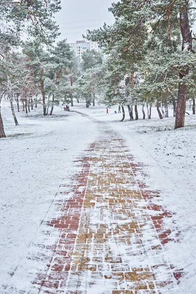 Winter city landscape. Winter park covered with snow. A bench under a snow-covered tree in city park.