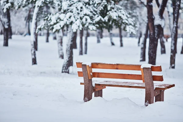Скамейка Парке Снегу Зимой — стоковое фото
