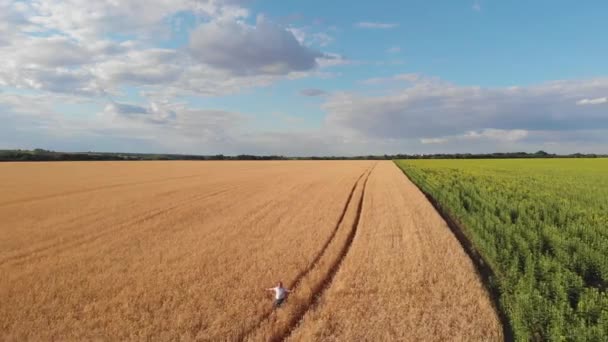 Riprese Aeree Dell Agricoltore Piedi Nel Campo Grano — Video Stock