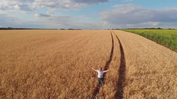 Εναέρια Πλάνα Αγρότη Που Στέκεται Στο Χωράφι Σιτάρι — Αρχείο Βίντεο