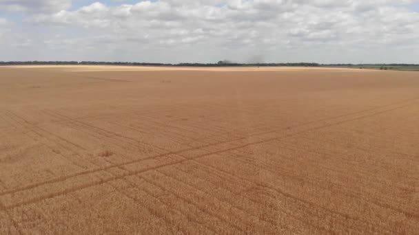 Luftaufnahmen Von Schönen Landwirtschaftlichen Feld — Stockvideo