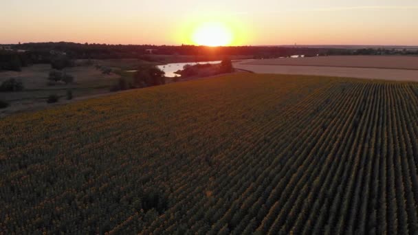 Luchtfoto Van Prachtig Landbouwgebied — Stockvideo