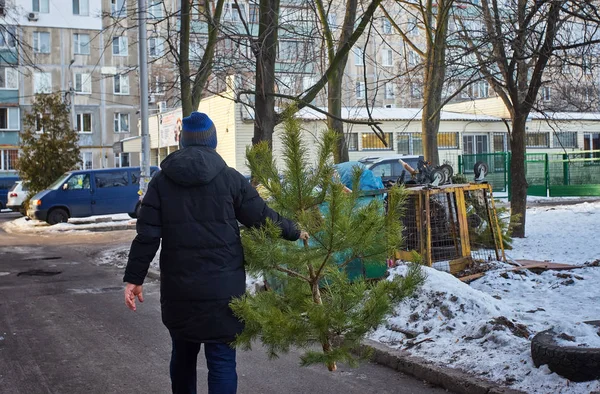 Een Man Gooit Een Kerstboom Prullenbak Feestdagen — Stockfoto