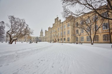 Kış şehri manzarası. Kış parkı karla kaplı. Şehir parkında karla kaplı bir ağacın altında bir bank..