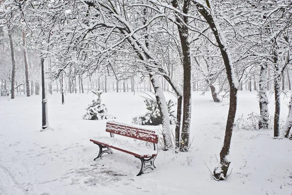 Bancos Parque Invierno Ciudad Lleno Nieve Árboles Cubiertos Nieve — Foto de Stock