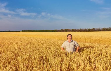 altın buğday alanı yürüyüş çiftçi