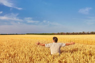 altın buğday alanı yürüyüş çiftçi