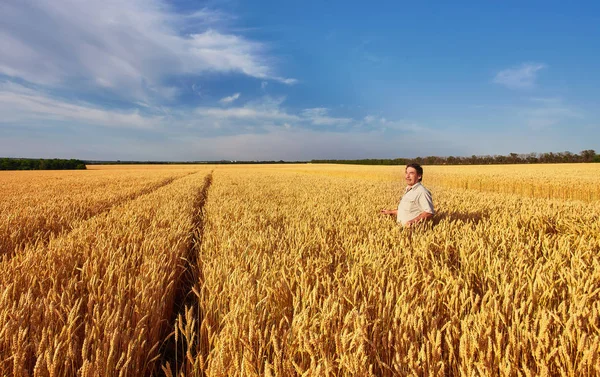 Bauer geht durch ein goldenes Weizenfeld — Stockfoto