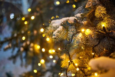 Şehir sokakları süslenmiş Noel ağacı