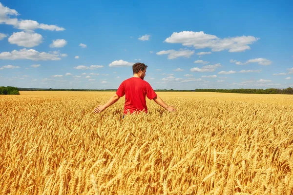 Agricultor caminando a través de un campo de trigo dorado —  Fotos de Stock