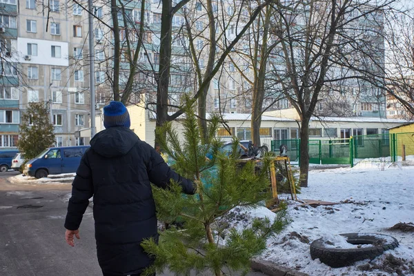 Man kastar en julgran i papperskorgen efter helgerna — Stockfoto