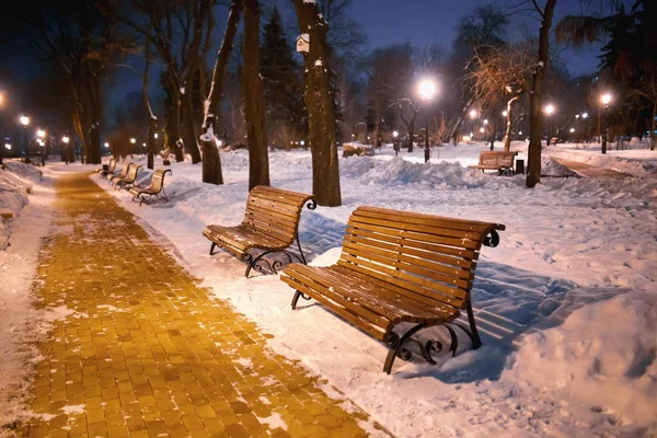 Вечером зимний парк со скамейками, покрытыми снегом . — стоковое фото