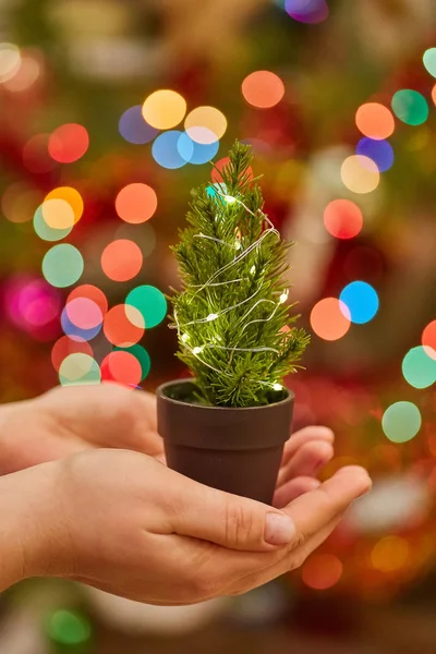 Kleine kerstboom met een lichtgevende bloemenslinger in de handen van een meisje op de achtergrond van nieuwjaarslicht. Nieuwjaarsconcept. — Stockfoto