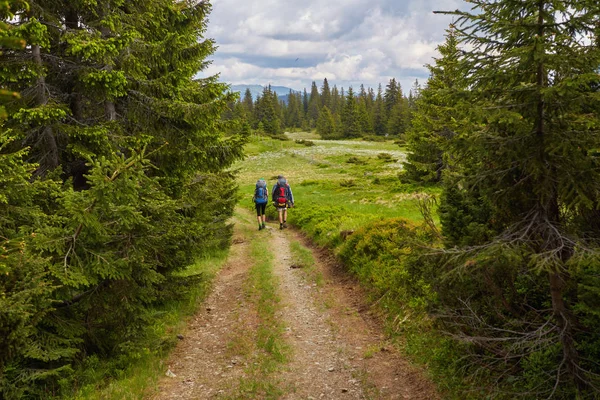 Vista trasera de dos jóvenes caminando por el sendero en el bosque . — Foto de Stock