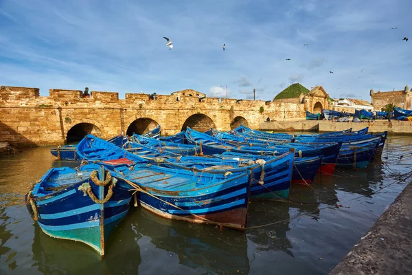 Blauwe Vissersboten Haven Van Essaouira Marokko — Stockfoto