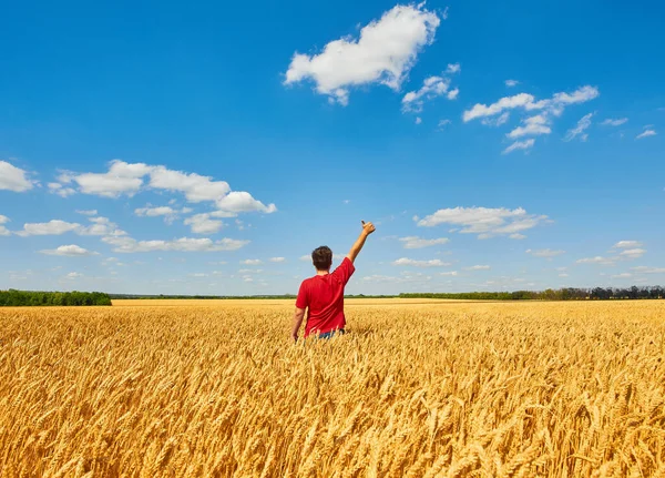 快乐的农夫 双手举着大拇指站在麦田里的风力涡轮机旁 — 图库照片