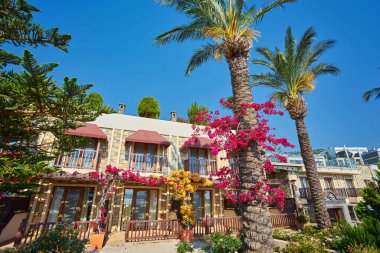 Turistler için sayıları olan küçük kulübelerden oluşan rahat yeşil kompleks