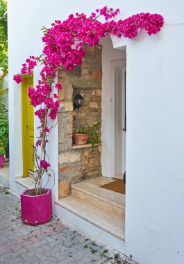 Bodrum 'un dar sokaklarında, Yunan tarzı Bodrum' da beyaz evleri olan saksılar. Türkiye.